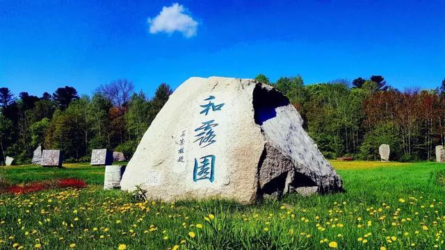 绝对完美