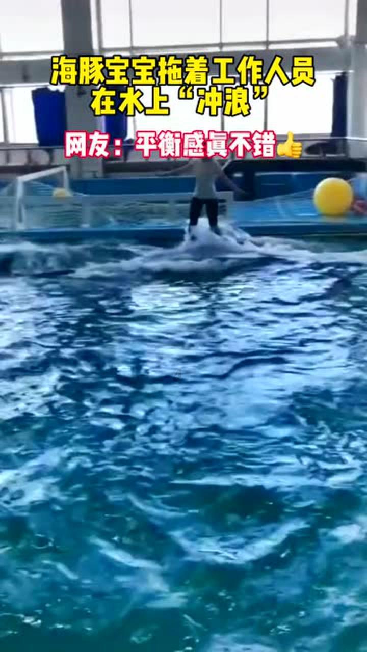虫虫助手下载