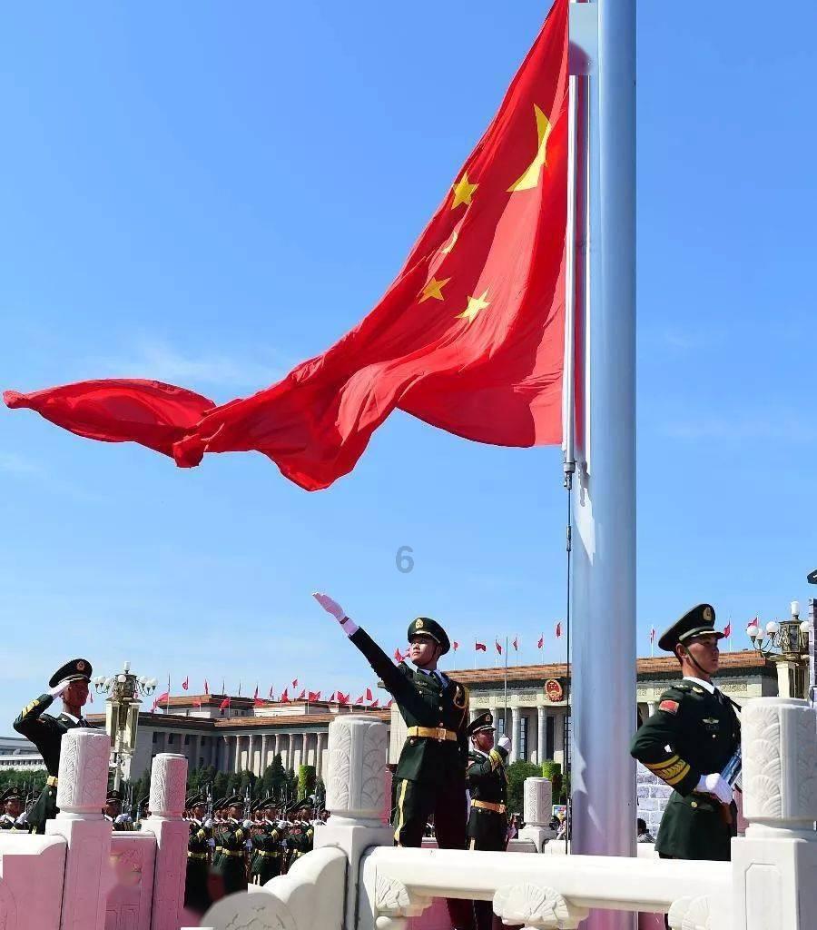 动物滑动拼图