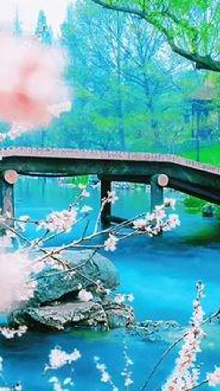 探探猫宝石岛